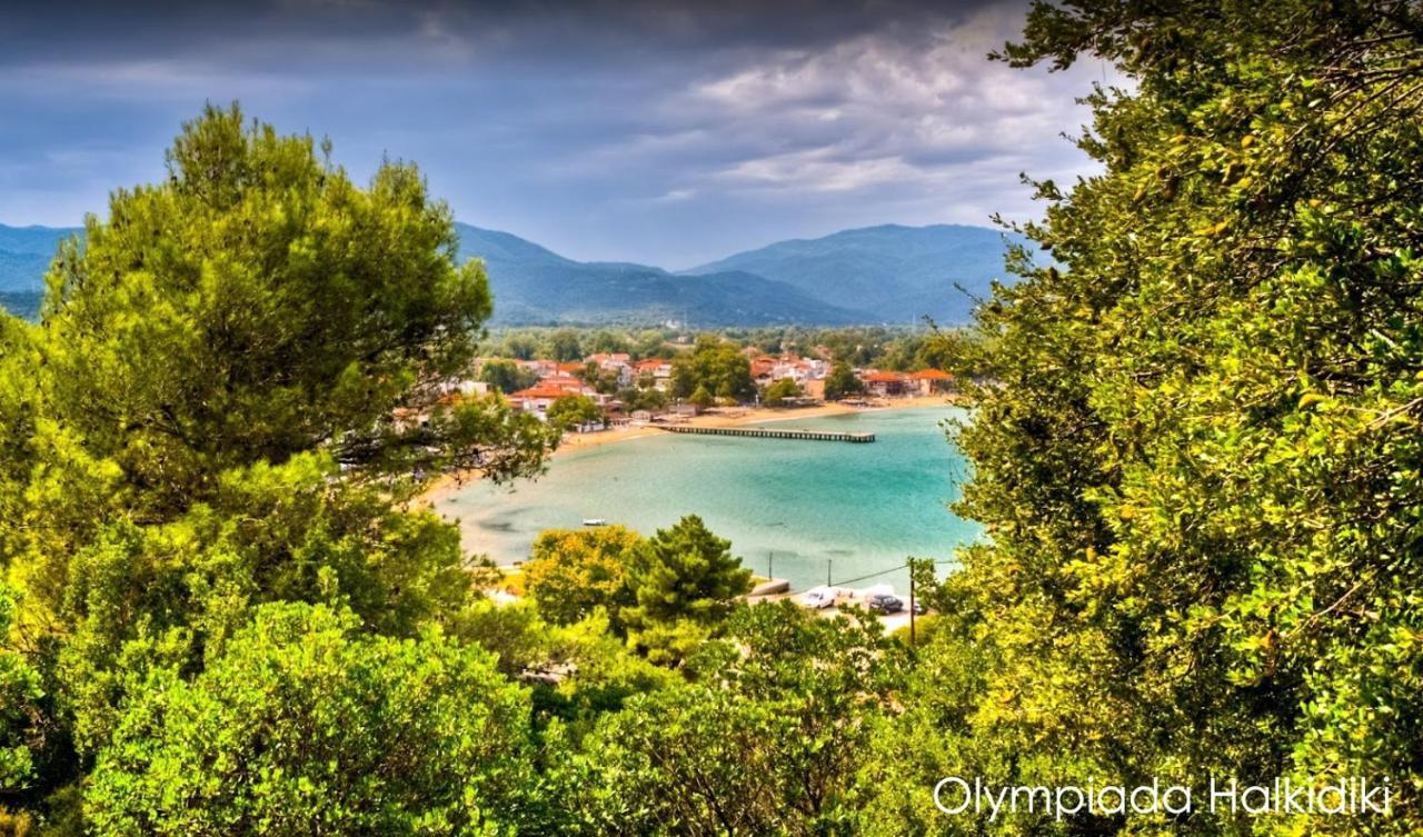 Mirini • Ancient Stagira Apts • Chalkidiki Olympiada Exterior foto
