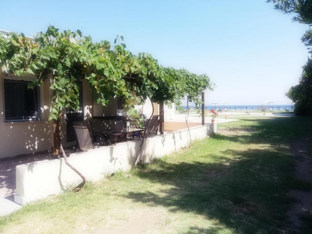 Mirini • Ancient Stagira Apts • Chalkidiki Olympiada Exterior foto